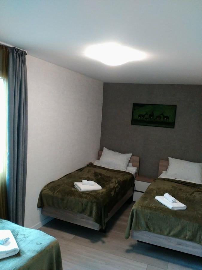 טביליסי Boutique Apartment 17 מראה חיצוני תמונה